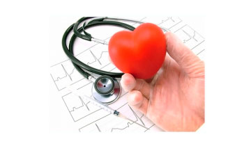 Kardiovet Tecnologia Veterinária do Coração